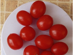 Томат Преподобный Майкл Кейес (Reverend Michael Keyes)