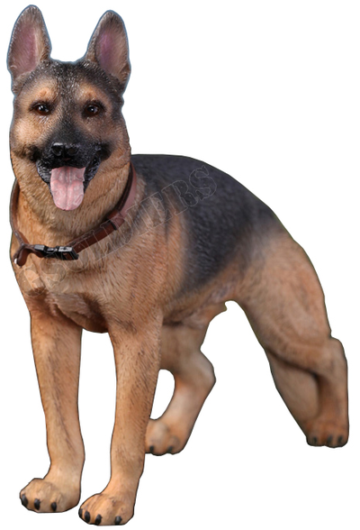 Немецкая овчарка (Служебная собака) - Коллекционная ФИГУРКА 1/6 scale German Shepherd (AS003) - DID
