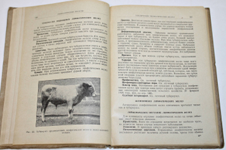 Вебер Эв., д-р. Болезни крупного рогатого скота. М.-Л.: Сельхозгиз, 1930.