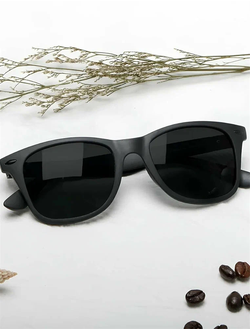 Очки солнцезащитные Xiaomi Turok Steinhardt Hipster Traveler Black STR004-0120