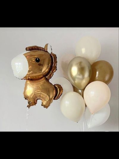 Набор шаров "Лошадка"