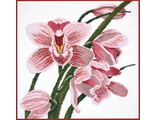 Зов орхидеи 762  Овен vkn