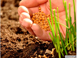 Органоминеральные удобрения