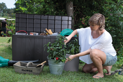 Сундук Шервуд 270л., графит