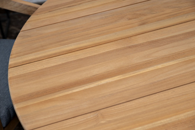 Обеденная группа из тика Vento M