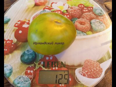 Томат Ирландский ликер