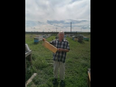 Сотовый мед 0,25 кг