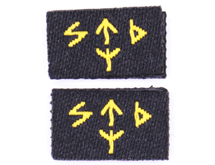 стогнев руны на шевронах. нашивка руны. рунические нашивки. быть воином жить вечно нашивка. шевроны с рунами.