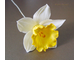 "Серединка нарцисса большая 3д" Силиконовый молд (вайнер)