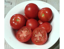 Семена томата Сирэл чойс