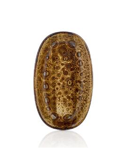 Блюдо овальное 29*17 см Cowry Bone