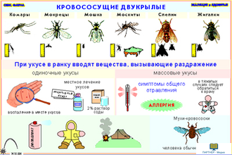 Ядовитые и жалящие животные  (13 шт), комплект кодотранспарантов (фолий, прозрачных пленок)