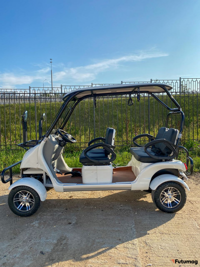 Гольфкар GreenCamel A40 52 Ah 12 V