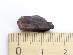 Турмалин арбузный, Бразилия (17*6*6 мм, 1,2 г) №24816