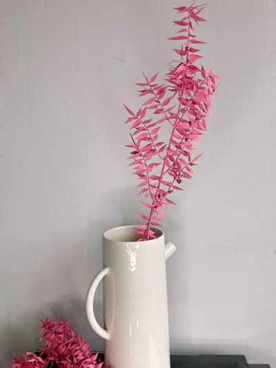 Иглица ярко-розовая