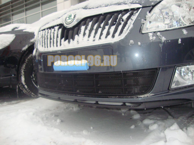 Защита радиатора Skoda Fabia 2 рестайлинг 2011-/Skoda Roomster 2011-2015 black