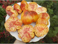 Томат Звезда Техаса (Texas Star)