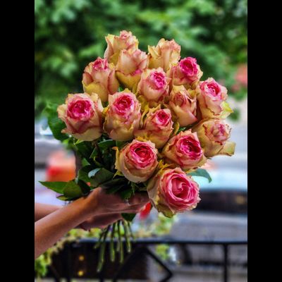 Роза Эквадор 70 см 15 шт