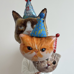 Шарики Коты