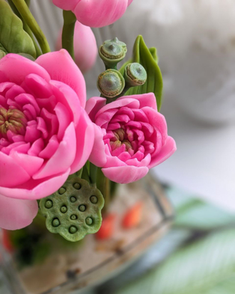 Коробочка лотоса