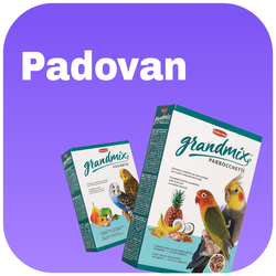 Padovan