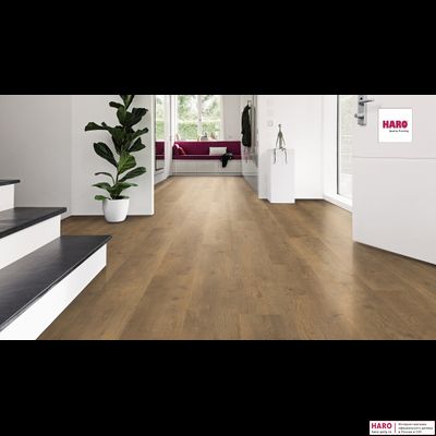 Ламинат Haro Tritty 100 Campus Дуб Бергамо Натур 538747 33 класс толщина 8 мм с фаской 2.13 м2