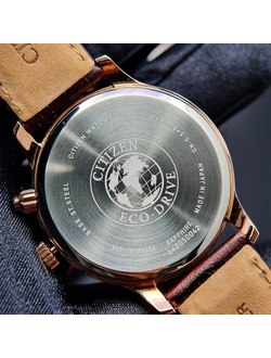 Наручные часы Citizen AP1059-19E