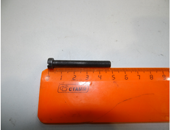 Болт М 6 (для моторов)