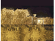 Amouage Gold Man (парфюмированная вода 50 мл)