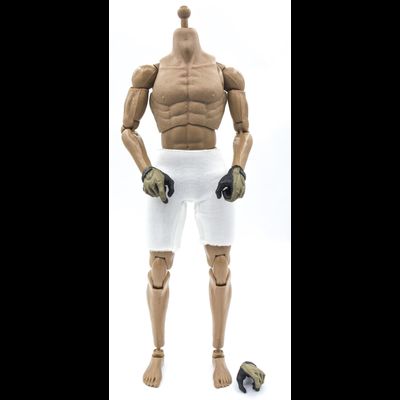 Тело DAMTOYS 1/6 в белье (DAM 78039) - DAMTOYS