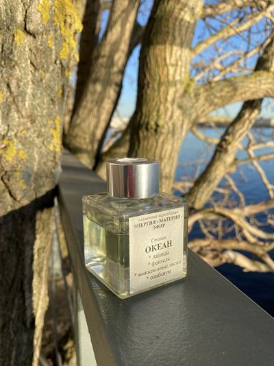 Аромат-масло ОКЕАН, 60 мл, флакон-диффузор (без палочек)