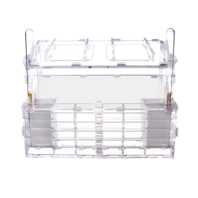 Формикарий 4ants Crystal XL pro + колония Messor Structor