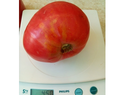 Томат Тяжеловес Сибири