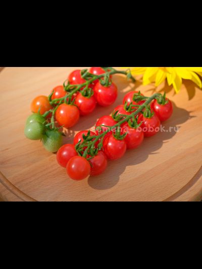 Томат Черри Кубелло, 10 шт