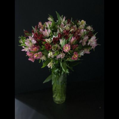 Альстромерия 35 шт