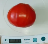 Абруццо
