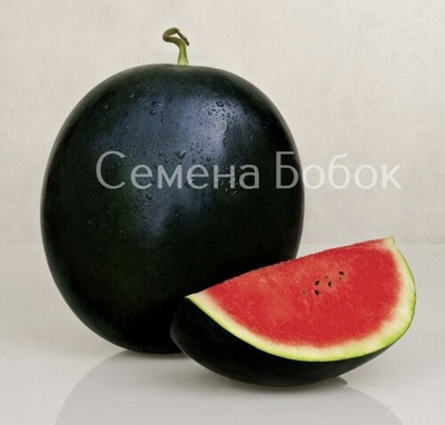 Арбуз Мулат F1, 5 шт