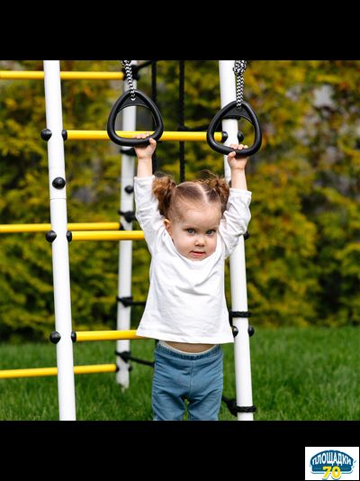 Детский спортивный комплекс для дачи ROMANA Богатырь (серый/желтый) (с фанерными качелями)