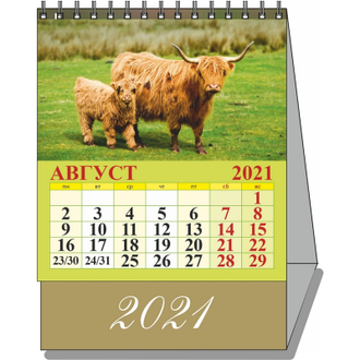 Календарь-домик настольный 2021, Символ года, 100х140, 0800010