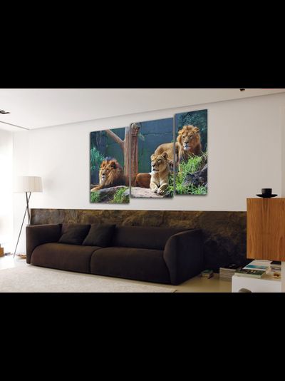 Модульная картина "Внимательные взгляды"