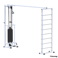 Кинезиотренажер Биотонус + шведская стенка AR087.1х2400