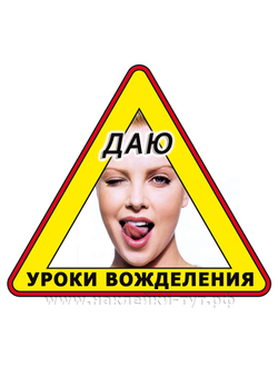 Наклейка на авто "Даю уроки вожделения", а не вождения! Для дам и леди прикольные знаки и наклейки.