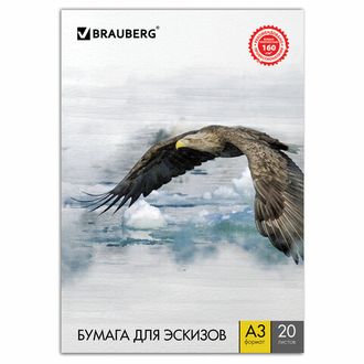 Папка для рисования БОЛЬШОГО ФОРМАТА А3, 20 л., 160 г/м2, BRAUBERG, 297х420 мм, "Орел", 125228