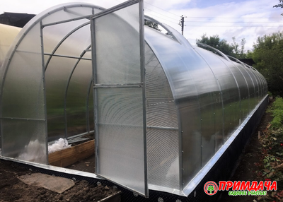 Теплица «Дачница Усиленная» 3*10 м. СОТОВЫЙ ПОЛИКАРБОНАТ 4 ММ. (модификация 1)