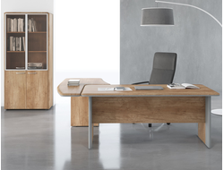 Кабинет руководителя DIONI