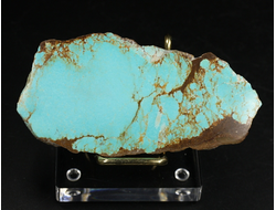 Бирюза, срез полированный с одной стороны, США, Невада (80*41*14 мм, 43 г) №37861