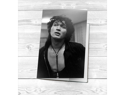 Обложка на паспорт Кино, Виктор Цой №8