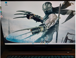 Thunderobot 911 Plus G3 X ( 17.3 Full HD IPS 144Hz i5-13500H RTX4050 (6Gb) 16Gb 512Gb SSD )