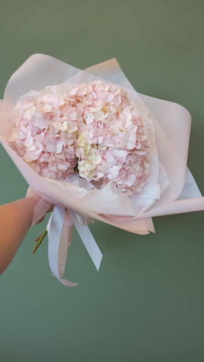 Классический букет из 3 розовых гортензий