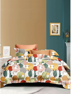 Постельное белье TANGO Twill сатин евро 200x220x1 230x250x1 50x70x2 70x70x2 TPIG6-1999